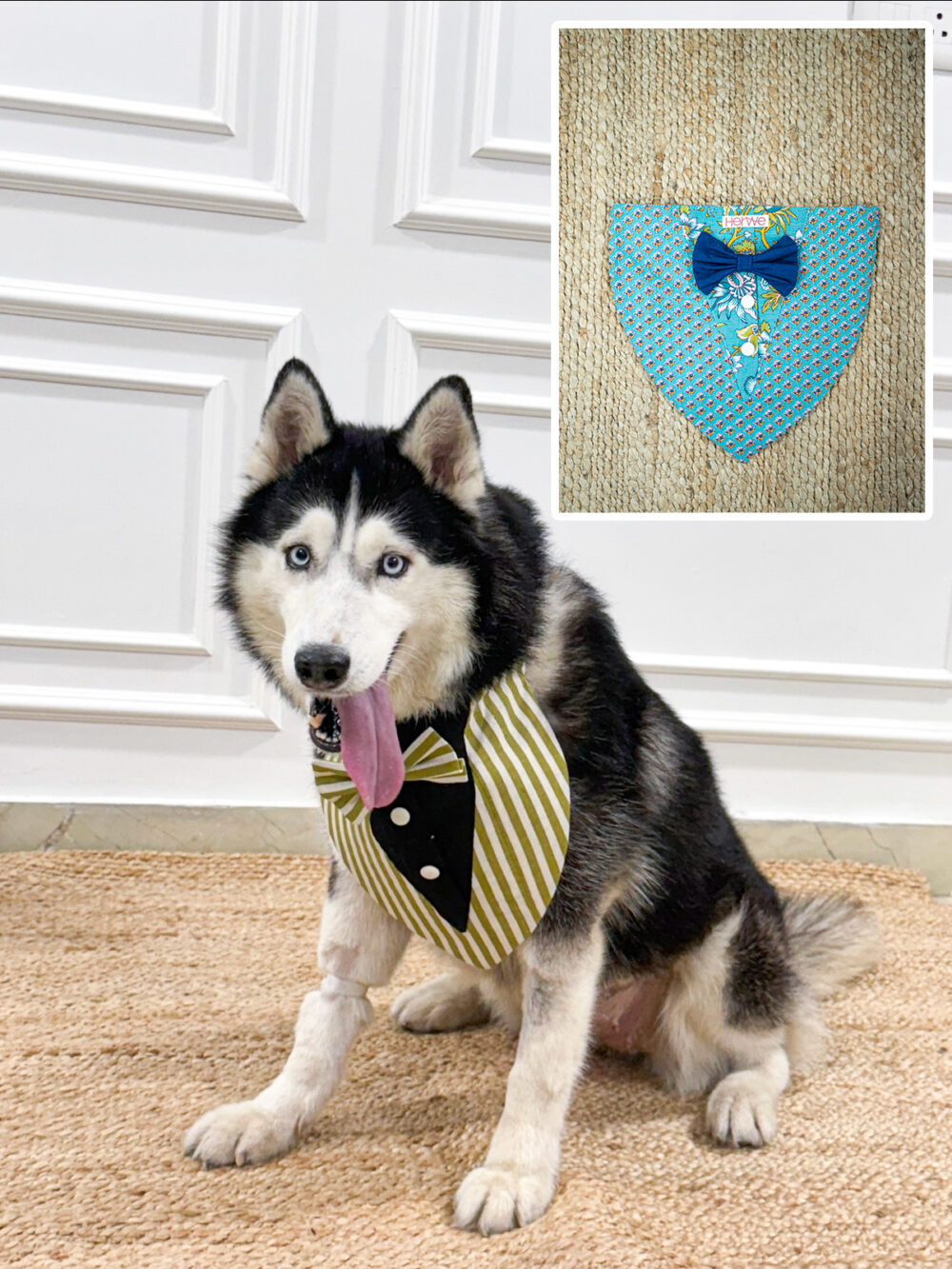 Zee dog Phantom Air Mesh Plus Harness For Dogs