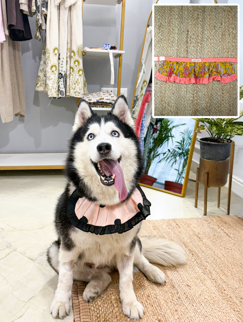 Zee dog Phantom Air Mesh Plus Harness For Dogs